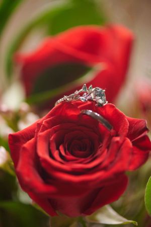 Leslie-and-Nick-Wedding-2024_Rings-2